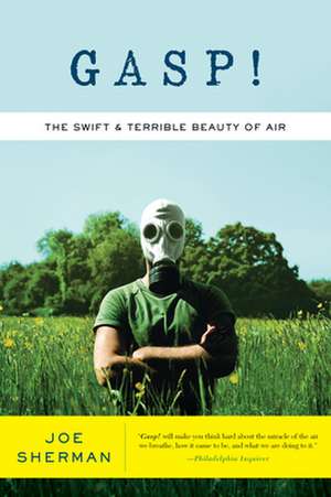 Gasp!: The Swift and Terrible Beauty of Air de Joe Sherman