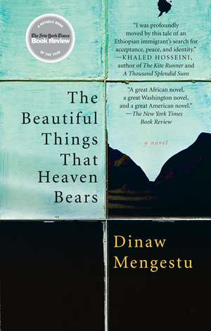 The Beautiful Things That Heaven Bears de Dinaw Mengestu