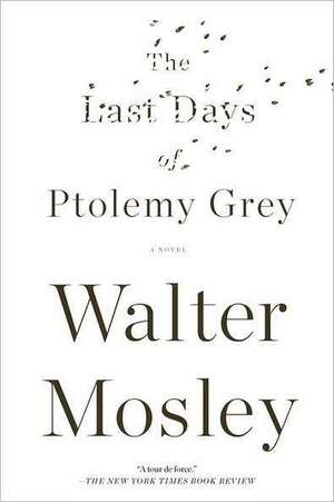 The Last Days of Ptolemy Grey de Walter Mosley