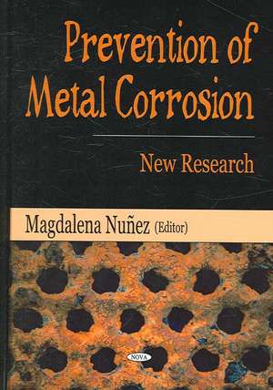 Prevention of Metal Corrosion de Magdalena Nunez