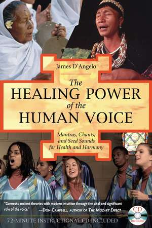 The Healing Power of the Human Voice: Mantras, Chants, and Seed Sounds for Health and Harmony de James D'Angelo Ph.D.