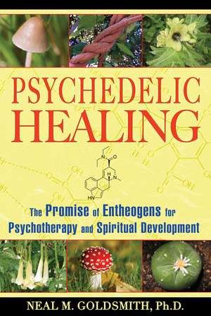 Psychedelic Healing: The Promise of Entheogens for Psychotherapy and Spiritual Development de Neal M. Goldsmith Ph.D.