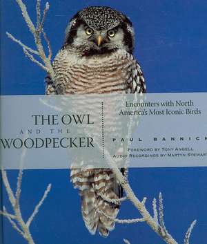 The Owl and the Woodpecker: Encounters With North America's Most Iconic Birds de Paul Bannick