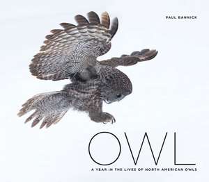 Owl de Paul Bannick