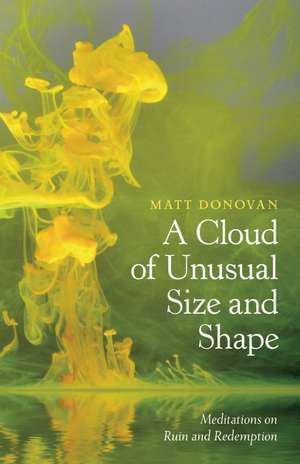 A Cloud of Unusual Size and Shape: Meditations on Ruin and Redemption de Matt Donovan