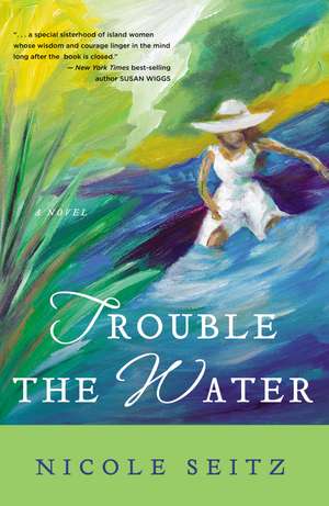 Trouble the Water de Nicole Seitz