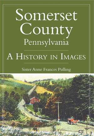 Somerset County, Pennsylvania: A History in Images de Anne Frances Pulling