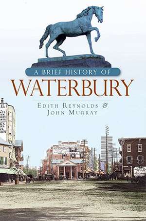 A Brief History of Waterbury de Edith Reynolds