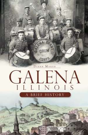 Galena, Illinois: A Brief History de Diann Marsh