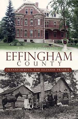 Effingham County: Transforming the Illinois Prairie de F. Delaine Donaldson