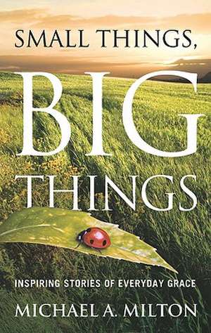 Small Things, Big Things: Inspiring Stories of Everyday Grace de Michael a. Milton