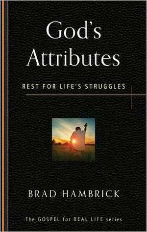 God's Attributes: Rest for Life's Struggles de Brad Hambrick