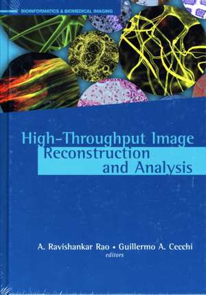 High-Throughput Image Reconstruction and Analysis de A. Ravishankar Rao