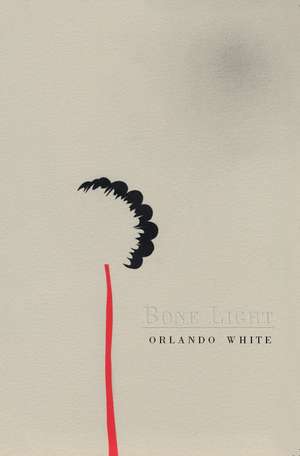 Bone Light de Orlando White