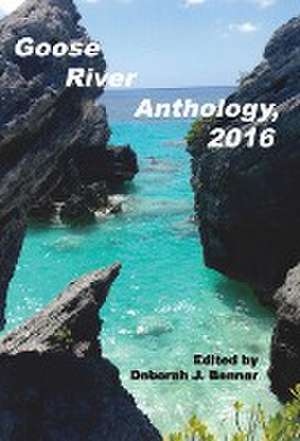 Goose River Anthology, 2016 de Deborah J. Benner