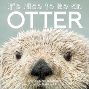 It's Nice to Be an Otter de Molly Woodward