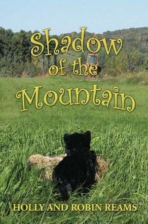 Shadow of the Mountain de Robin Reams