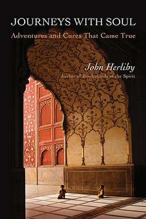 Journeys with Soul: Adventures and Cures That Came True de John Herlihy