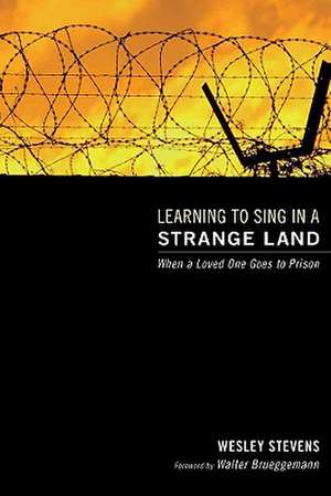 Learning to Sing in a Strange Land de Wesley Stevens