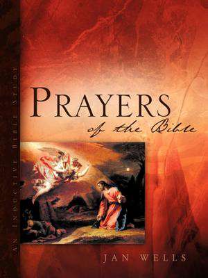 Prayers of the Bible de Jan Wells