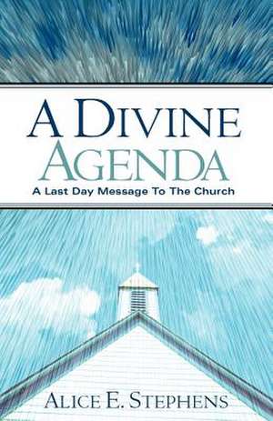 A Divine Agenda de Alice E Stephens