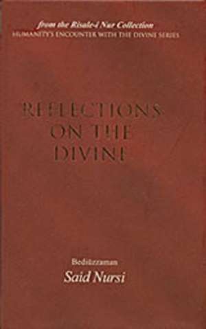 Reflections on the Divine de Bediuzzaman Said Nursi