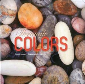 Through Colors de M. Fethullah Gulen