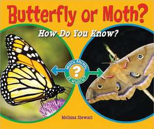 Butterfly or Moth?: How Do You Know? de Melissa Stewart