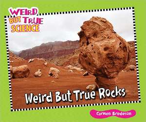 Weird But True Rocks de Carmen Bredeson