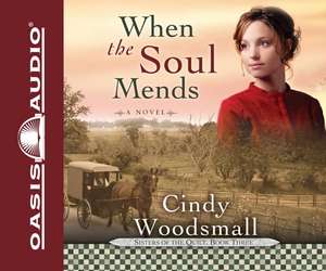 When the Soul Mends de Jill Shellabarger