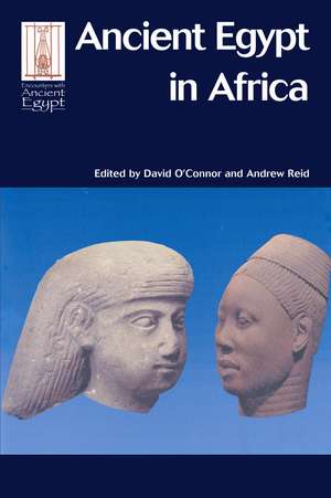 Ancient Egypt in Africa de David O'Connor