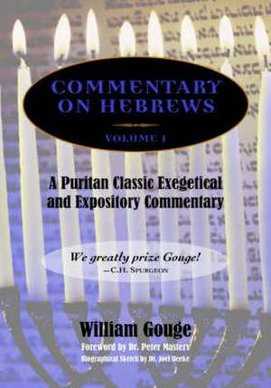 Commentary on Hebrews: Exegetical and Expository - Vol. 1 (Heb. 1-7) de William Gouge