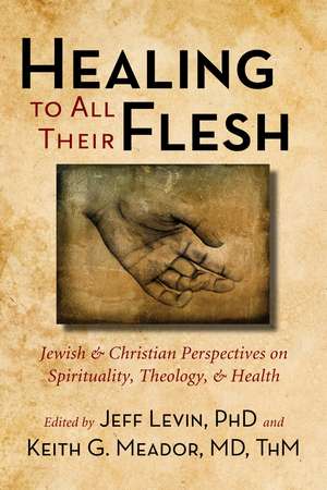 Healing to All Their Flesh – Jewish and Christian Perspectives on Spirituality, Theology, and Health de Jeff Levin