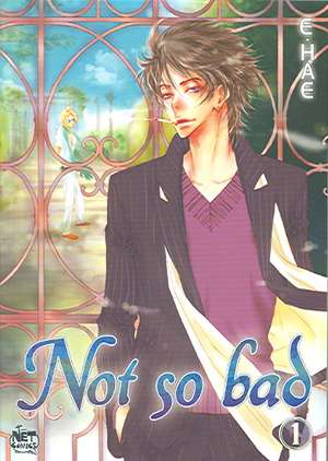 Not So Bad Volume 1 de E.Hae