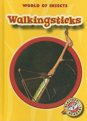 Walkingsticks de Emily K. Green