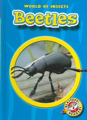 Beetles de Colleen A. Sexton