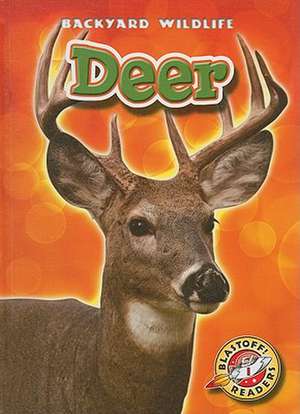 Deer de Derek Zobel