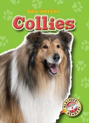 Collies de Sara Green