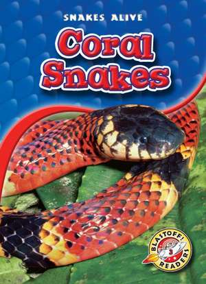 Coral Snakes de Colleen Sexton