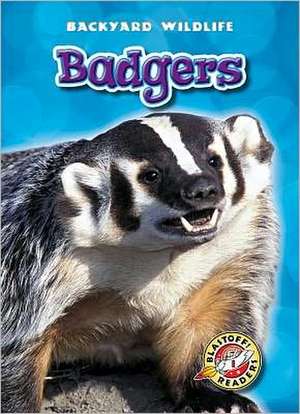 Badgers de Derek Zobel