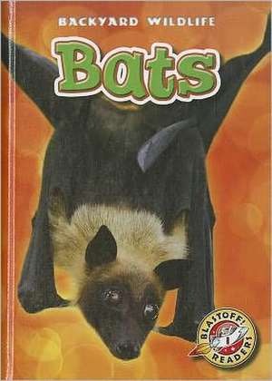 Bats de Kari Schuetz