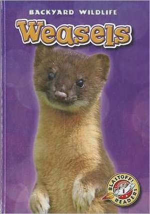 Weasels de Megan Borgert-Spaniol