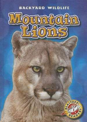 Mountain Lions de Kristin Schuetz