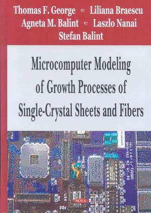 Microcomputer Modeling of Growth Processes of Single-Crystal Sheets and Fibers de Thomas F. George