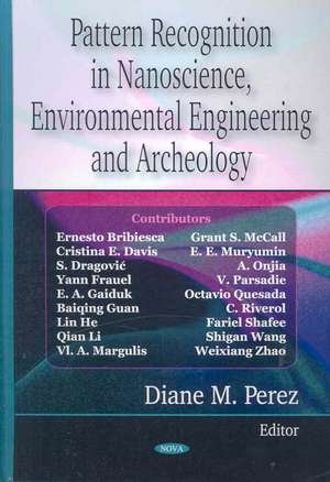 Pattern Recognition in Nanoscience, Environmental Engineering and Archeology de Diane M. Perez