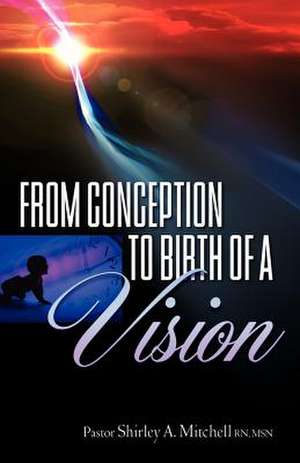 From Conception to Birth of a Vision de Shirley A. Mitchell