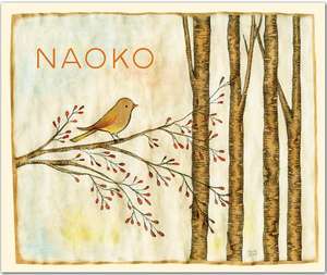 Naoko: Quicknotes -- Greeting, Thank You & Invitation Cards in a Reuseable Flip-Top Box Decorated with Modern Illustrations de Naoko Stoop