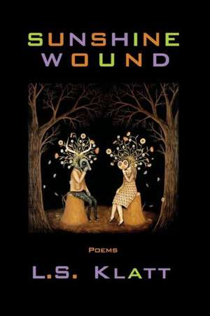 Sunshine Wound de L. S. Klatt