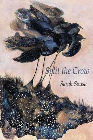 Split the Crow de Sarah Sousa