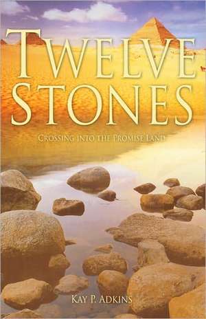 Twelve Stones de Kay P Adkins
